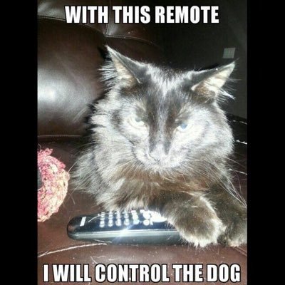 Merkin On Twitter I Hate This Couch And Wish To Destroy It But