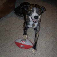 JAMES KELLY BRYSON (@james_k_bryson) 's Twitter Profile