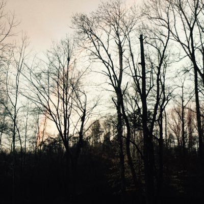 sandraaiinn's profile picture. f4f 11 grade- SC is home- taken by the best- always nice and kind