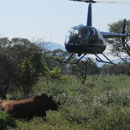 Wildlife Veterinarian