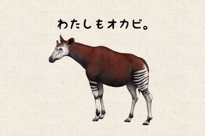 Ocapi_ps's profile picture. 2015年5月からペン回し。そろそろCV出たい... |ω･`)内田彩好き。欅坂好き。けやき坂好き。乃木坂好き。 ラブライブ好き。とりあえず帰りたい。