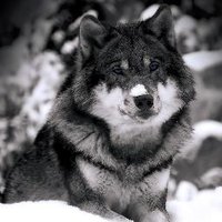 Xuezhe Ma (Max) (@maxma1987) 's Twitter Profile Photo Xuezhe Ma (Max) (@maxma1987) 's Twitter Profile Photo