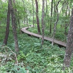 bJe6ynF1Ym6w1Ew's profile picture. 戦国乙女の良い画像をXで眺めるのが好きです。出陣の陣を引きたいです。 乙女健忘録