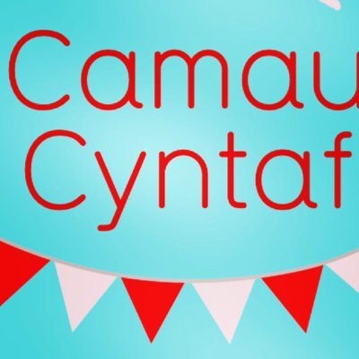 shnwcs_'s profile picture. Ffordd hyfryd ac unigryw o gofnodi Camau Cyntaf babi bach. ❤️ A unique and fun way of capturing all those special first baby steps.