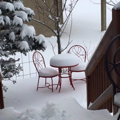 DebbieNeveux's profile picture. Awesome Mom!