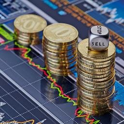 binaryoption55's profile picture. 