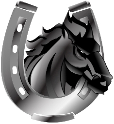 Stallion Hosting offers Affordable and Reliable Website Hosting, Reseller Hosting & Domain Name Registration with servers based in South Africa & USA