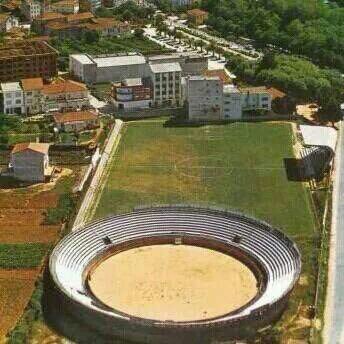 nieto_abeijon's profile picture. 