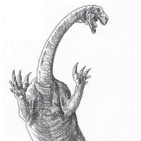 Boomersaurus(@Boomersaurus) 's Twitter Profile Photo