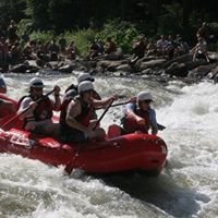 undersealover's profile picture. 