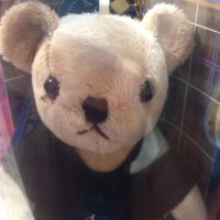 ぬーぬー@低浮上 (@kaaaaayuh) 's Twitter Profile