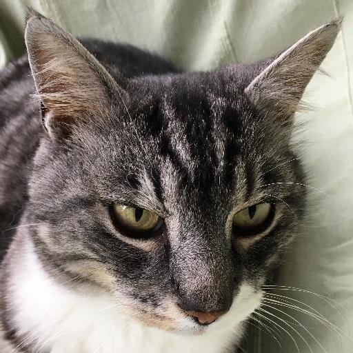 Dalaimoc's profile picture. Canary Islands! Especially La Palma! :-) 

Summer, Heat, Apple-Fan, TV-Shows, Podcasts, VMware, Pasta, Cats, Hiking, Trail- (and) Running, Bicycling.