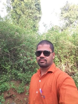 TncurtainCjb's profile picture. 