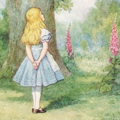 _Tweecher_'s profile picture. I love to teach and I love to tweet. Follow me for English/Irish JC or LC tips and advice! 📝Ms Evans