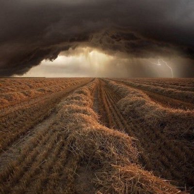 batybacaev's profile picture. 