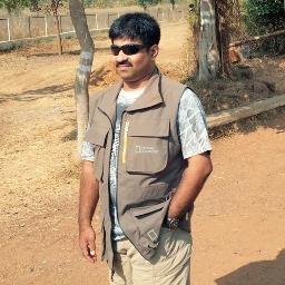 JungleJajabor's profile picture. 