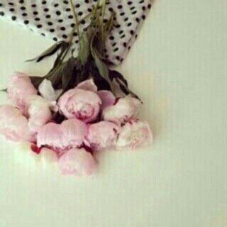 hayday_do's profile picture. 