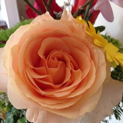 isabela1945's profile picture. 