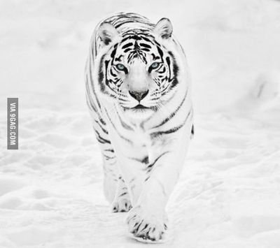 LadyMimi92's profile picture. 