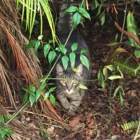 rkorba (@rkorba) 's Twitter Profile