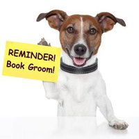 AAA K-9 Grooming (@aaak9grooming) 's Twitter Profile