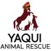Yaqui Animal Rescue (@YaquiRescue) Twitter profile photo