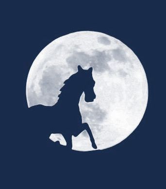 horseandmoon Profile Picture