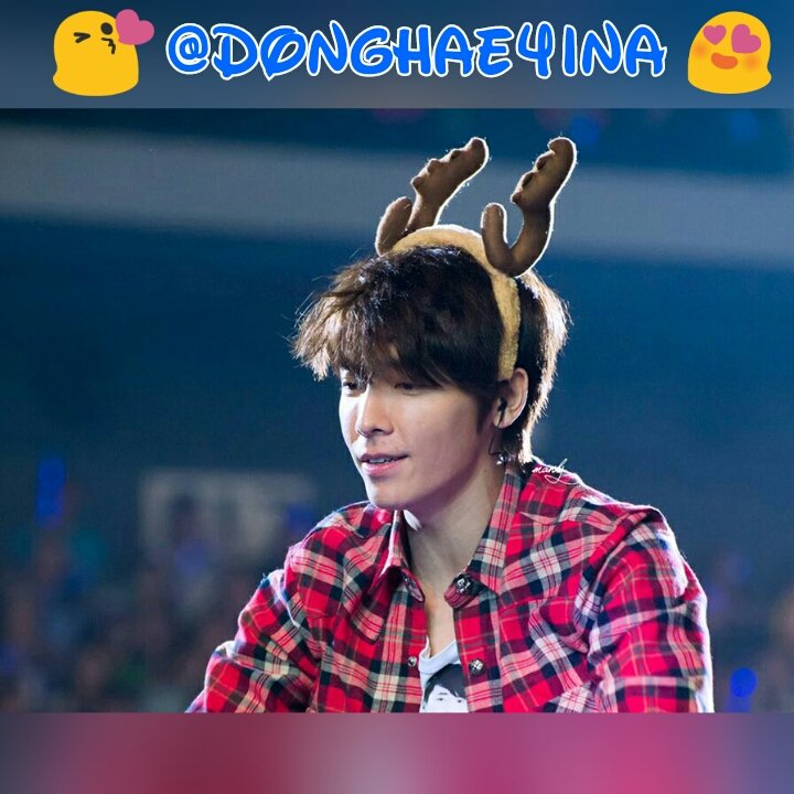 Donghae4INA's profile picture. Fanbase for both Super Junior 이동해 ~♡ follow us!! ^^v Contact: donghae4ina@gmail.com