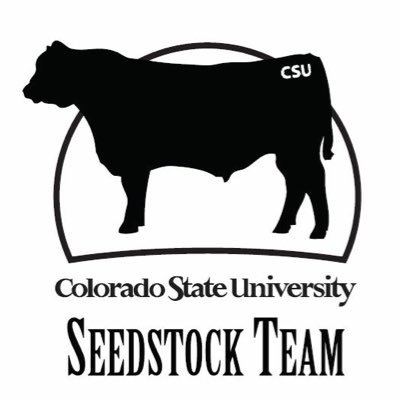 Team of CSU students interested in seedstock cattle production. Views and opinions expressed are not necessarily those of Colorado State.