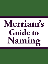 Merriam’s Guide to Naming offers a simple practical process for creating brand names that drive growth and profit.