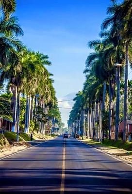 Vicente10998784's profile picture. 