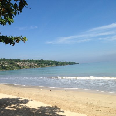 Naonao プロポリス歯磨き粉 プロポデンタル を切らして久しぶりに市販の歯磨き粉を使ったら歯の黄ばみが気になるように 歯と歯茎の健康のために使い始めたけど美白効果もあることを実感 歯が黄ばむと急に老けて見える 歯の黄ばみ プロポデンタル