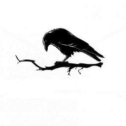 SeoProfessionIn's profile picture. 