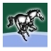 Coopersville Schools (@cvillebroncos) Twitter profile photo Coopersville Schools (@cvillebroncos) Twitter profile photo
