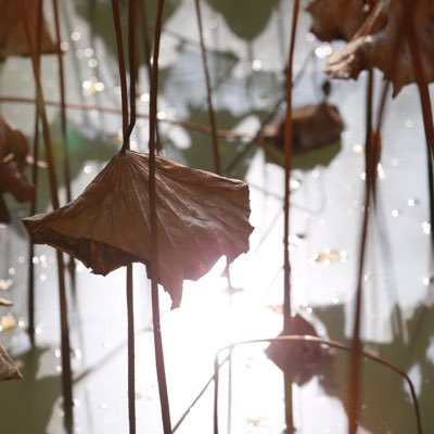 768825325's profile picture. 带娃妈咪