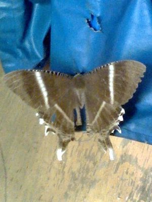 Adri08297497's profile picture. 