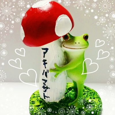 ケロさんのプロフィール画像