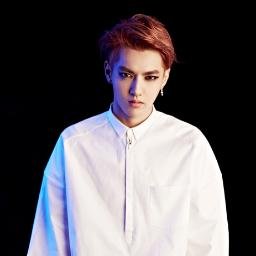 KrisGe00's profile picture. 