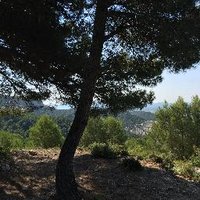 Une pause en Luberon(@Pause_Luberon) 's Twitter Profile Photo