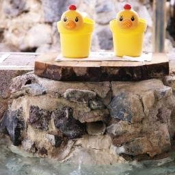九州の温泉旅行や観光情報を中心にTOP8をランキングで紹介