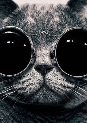 8ergCIdEBgtHPHt's profile picture. 