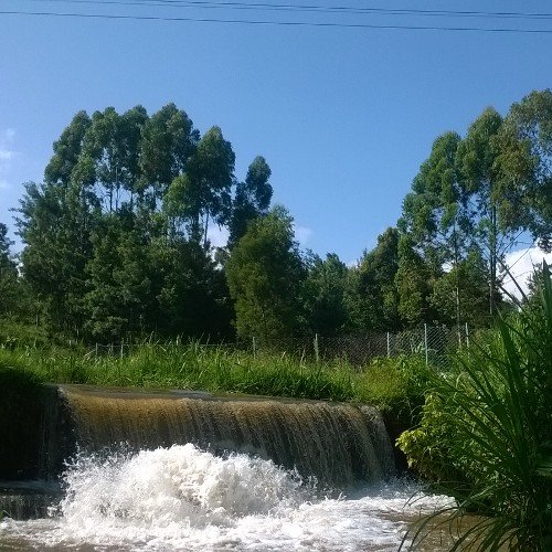 Aimed @ conserving nature, Protect nature and nature will protect you....