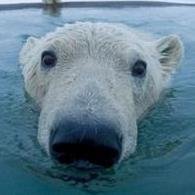 zero_zaxis's profile picture. 北海道旭川市在住。ぼくのりりっくのぼうよみと、セカオワ大好き‼東京(渋谷・原宿)と横浜が大好き！358チーム！気軽に絡んでください＾＾