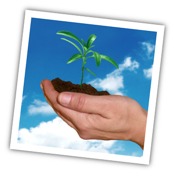 Green Text provides subscribers with tips and insight for living an eco-friendly lifestyle. Go green!