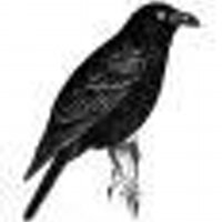 Anthony B Young (@ravenbrk) 's Twitter Profile