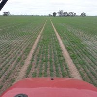 Wimmera Crop Watch (@wcropw) 's Twitter Profile Photo Wimmera Crop Watch (@wcropw) 's Twitter Profile Photo
