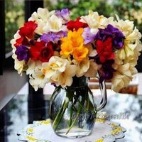 الوفاء والتسامح (@aprahem55444) 's Twitter Profile