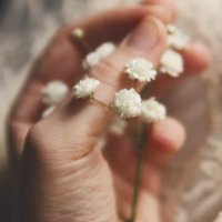 Heba Karim (@hebaakarim) 's Twitter Profile