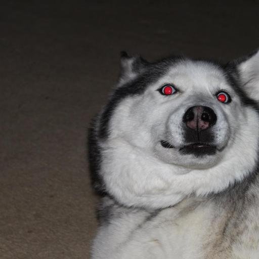 dugannnnnnnn's profile picture. 