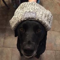 Wheaton College LYM (@wclymcrew) 's Twitter Profile